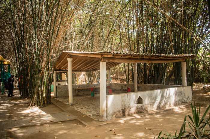 Bamboo Pergolas